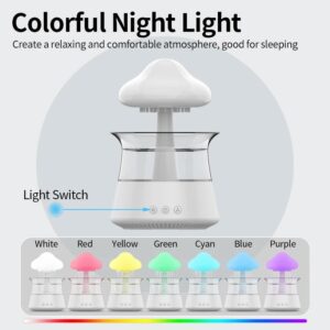 Rain Cloud Humidifier